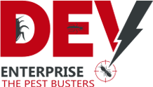 Dev Enterprise